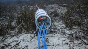 Success Story – Teltonika IoT bewahrt alte Unterwasserschätze